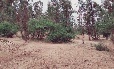 Terreno Construccion  en Venta en FDO CARRIZALILLO