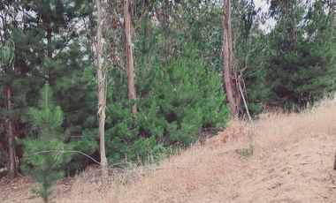 Terreno Construccion  en Venta en FDO CARRIZALILLO