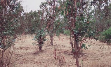 Terreno Construccion  en Venta en FDO CARRIZALILLO