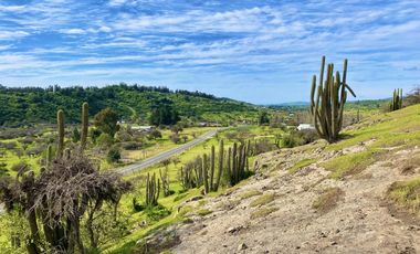 Sitio en Venta en TERRENO A LOS PIES DE LA CARRETERA