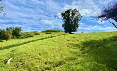 Sitio en Venta en TERRENO A LOS PIES DE LA CARRETERA