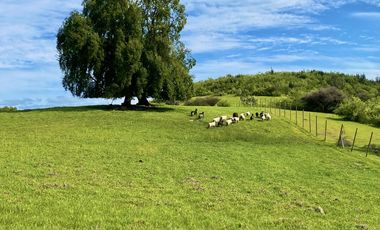 Sitio en Venta en TERRENO A LOS PIES DE LA CARRETERA