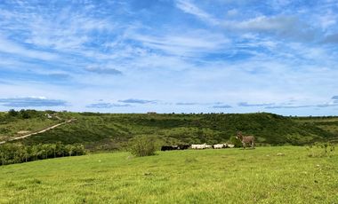 Sitio en Venta en TERRENO A LOS PIES DE LA CARRETERA