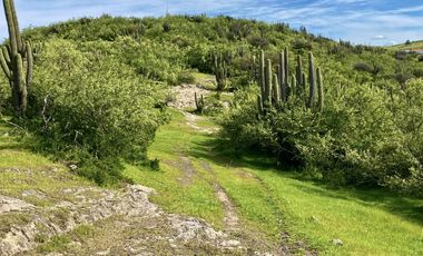 Sitio en Venta en TERRENO A LOS PIES DE LA CARRETERA