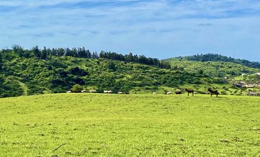 Sitio en Venta en TERRENO A LOS PIES DE LA CARRETERA