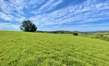 Sitio en Venta en TERRENO A LOS PIES DE LA CARRETERA