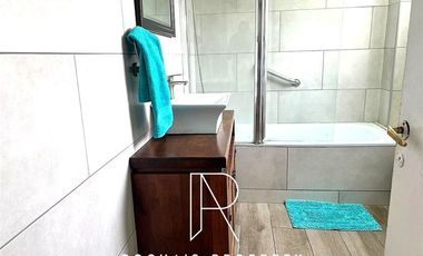 Departamento en Arriendo en Metro Ines de Suares