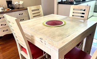 Departamento en Arriendo en Metro Ines de Suares