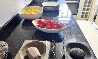 Departamento en Arriendo en Metro Ines de Suares