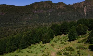 PARCELA CURARREHUE RINCONADA DE  PUCON