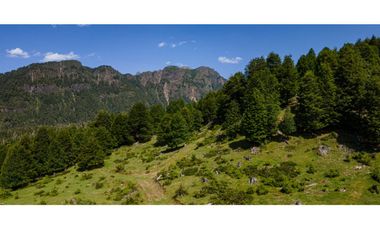 PARCELA CURARREHUE RINCONADA DE  PUCON