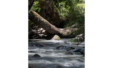 PARCELA CURARREHUE RINCONADA DE  PUCON