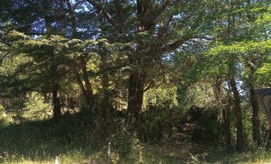 PARCELA CURARREHUE RINCONADA DE  PUCON