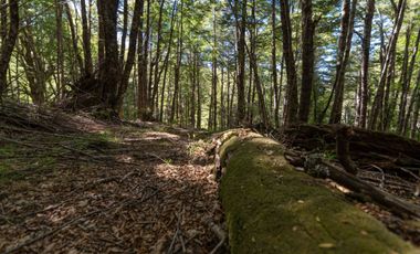 PARCELA CURARREHUE RINCONADA DE  PUCON
