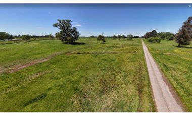 Brisas de Baquedano, Osorno