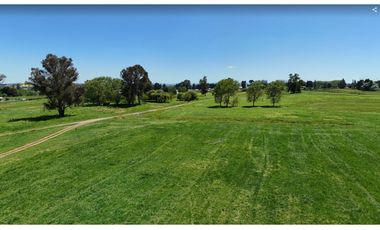 Brisas de Baquedano, Osorno