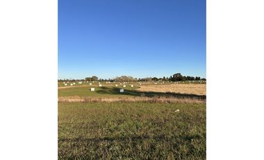 Brisas de Baquedano, Osorno