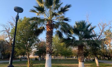 Terreno en Venta en San Armando, Torreón, Coahuila de Zaragoza