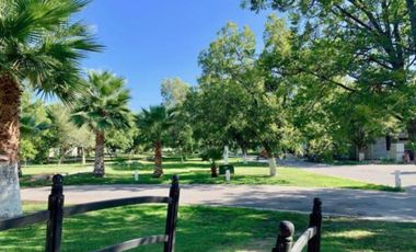 Terreno en Venta en San Armando, Torreón, Coahuila de Zaragoza