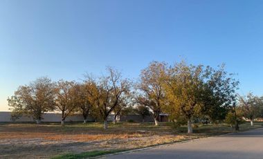 Terreno en Venta en San Armando, Torreón, Coahuila de Zaragoza