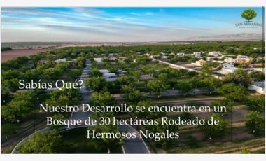 Terreno en Venta en San Armando, Torreón, Coahuila de Zaragoza