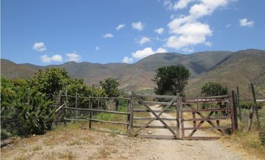 VENDO CAMPO LONGOTOMA- PICHILEMU LA LIGUA