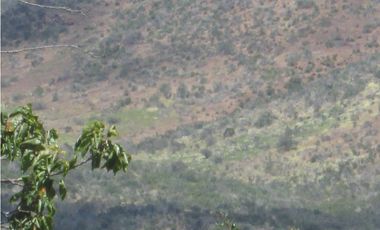 VENDO CAMPO LONGOTOMA- PICHILEMU LA LIGUA