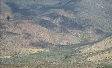 VENDO CAMPO LONGOTOMA- PICHILEMU LA LIGUA