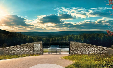 VIVE Y FORMA PARTE DE UNA RESERVA NATURAL