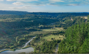 VIVE Y FORMA PARTE DE UNA RESERVA NATURAL