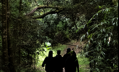 VIVE Y FORMA PARTE DE UNA RESERVA NATURAL