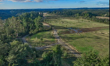 VIVE Y FORMA PARTE DE UNA RESERVA NATURAL