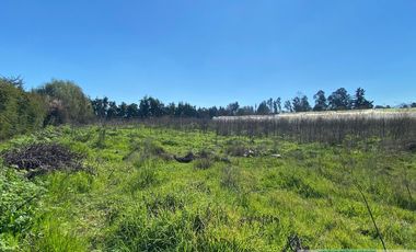 ARRIENDO CASA EN LOTEO SECTOR PEDEHUE