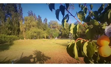 COND ALGARROBO DE BATUCO 1 PARCELA EN VENTA OPORTUNIDAD