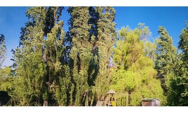 COND ALGARROBO DE BATUCO 1 PARCELA EN VENTA OPORTUNIDAD