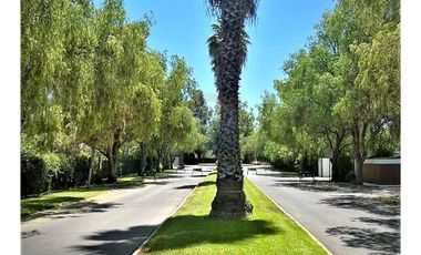 COND ALGARROBO DE BATUCO 1 PARCELA EN VENTA OPORTUNIDAD