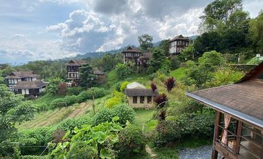 VENTA de CASAS en SILVANIA