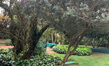 ALQUILER – CASA EN MACADAMIA