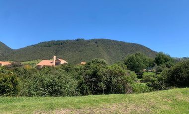 ALQUILER – CASA EN MACADAMIA