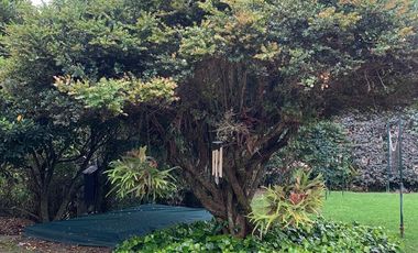 ALQUILER – CASA EN MACADAMIA