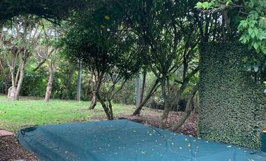 ALQUILER – CASA EN MACADAMIA