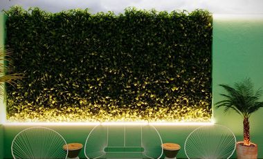 Loft en renta sin amueblar en Guadalupe Tepeyac