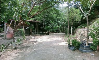 Venta de finca con mas de 15 árboles frutales, Corrales para gallinas