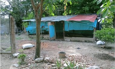 Venta de finca con mas de 15 árboles frutales, Corrales para gallinas