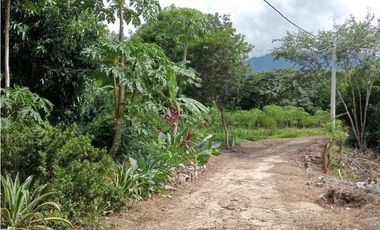 Venta de finca con mas de 15 árboles frutales, Corrales para gallinas