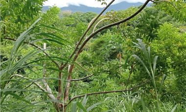 Venta de finca con mas de 15 árboles frutales, Corrales para gallinas
