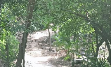 Venta de finca con mas de 15 árboles frutales, Corrales para gallinas