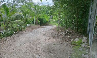 Venta de finca con mas de 15 árboles frutales, Corrales para gallinas