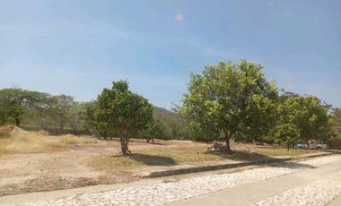 LOTE CAMPESTRE BONDA