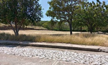 LOTE CAMPESTRE BONDA